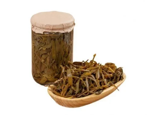Kaya Koruğu